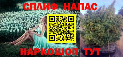 каннабис Заволжье