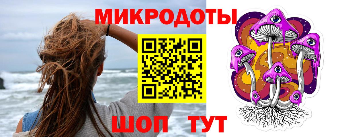 Псилоцибиновые грибы прущие грибы  Вход с VPN  Камень-на-Оби 